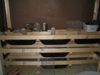 picture 003.jpg