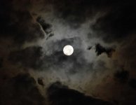 Moon.jpg