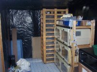 Snakehouse#3.jpg