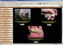 north1.jpg