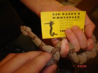 DSC00311.JPG