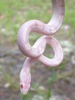 Miakoda Sept '05 - 3.JPG