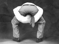 head in ass.jpg