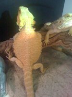 2010 099.jpg
