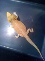 2010 100.jpg