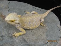 IMG_3517.jpg