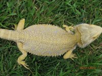 IMG_3521.jpg