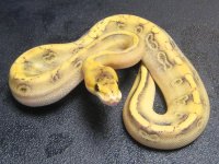 1114702 [].jpg