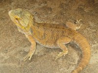 IMG_0699.JPG