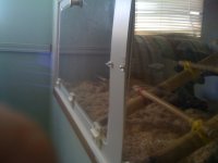 iphone pics 107.jpg