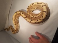 20180126_133205.jpg