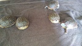 IMG_0655.JPG