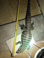 IMG_20180209_234835.jpg