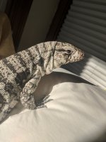 IMG_20180118_142151.jpg