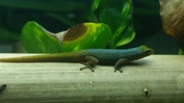 20170728_190933.jpg