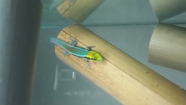 20170612_185500.jpg