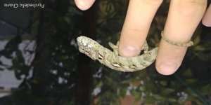 20171009_182901.jpg