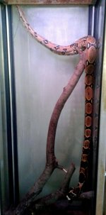 20170910_135011_1505917617889.jpg