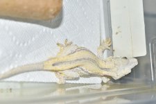 DSC_0377.jpg