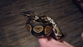 20170921_202847.jpg