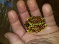 CAM01004.jpg