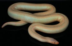 IMG_3263.jpg