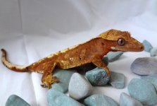 DSC05880.jpg DSC05880.jpg