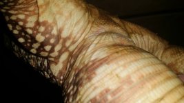 20170921_183157.jpg