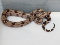 20180302_180820.jpg
