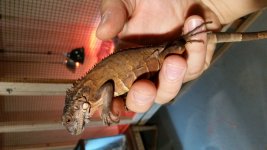 20171211_094831.jpg