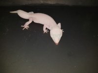 20171001_200025.jpg