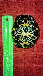 IMG_8844.JPG