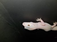 20170820_210759.jpg