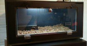 PVC CAGE.jpg