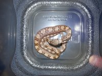 20171004_173912.jpg