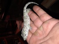 20180215_000241.jpg
