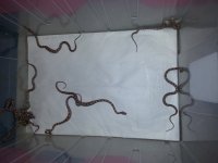 20171004_174327.jpg