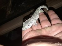 20180215_000235.jpg