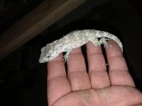 20180215_000226.jpg