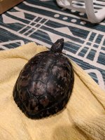 IMG_20171106_230321.jpg
