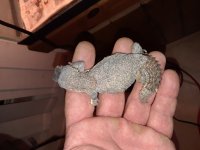 20180208_185341.jpg