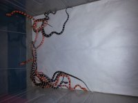 20171004_180536.jpg