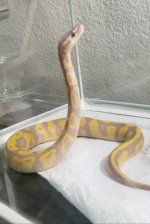 20180323_093351.jpg