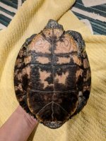 IMG_20171106_230359.jpg