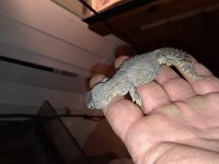 20180208_185348.jpg