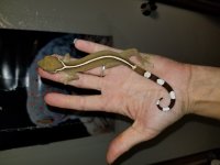 20180303_001325.jpg