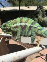 IMG_0646.jpg