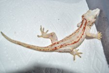 DSC_0273.jpg
