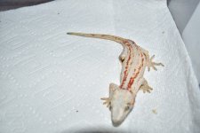 DSC_0276.jpg