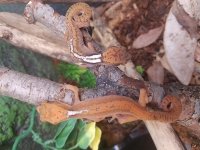 20180304_173117.jpg